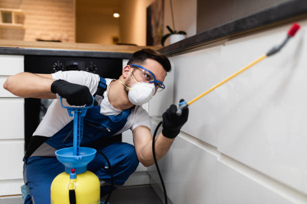 Best Mosquito Control Services  in University Of Lifornia Santa Barbara, CA