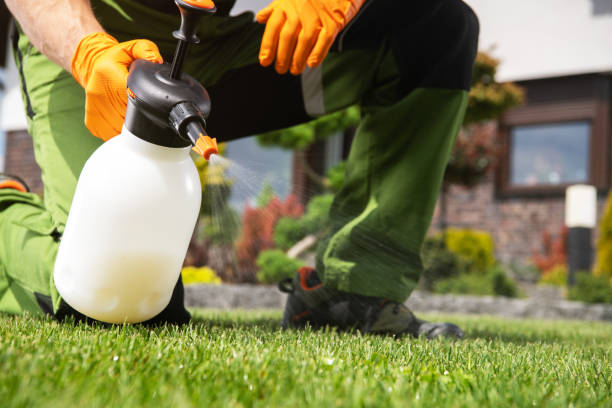 Insect Control in University Of California Santa Barbara, CA