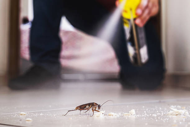 Best Pest Control Near Me  in University Of Lifornia Santa Barbara, CA