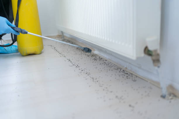  University Of Lifornia Santa Barbara, CA Pest Control Pros