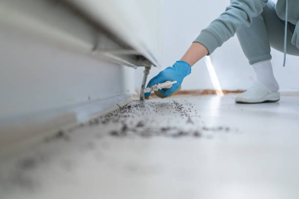 Best Residential Pest Control  in University Of Lifornia Santa Barbara, CA